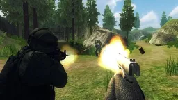 fps
